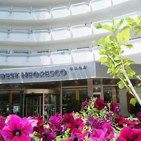 베스트 콤플레호 네그레스코 호텔 살루
